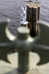 Similar image 21638728