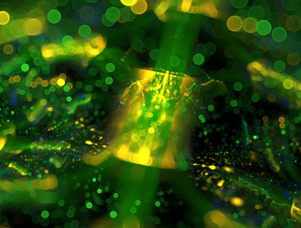 Similar image 21636988