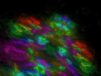 Similar image 21643388