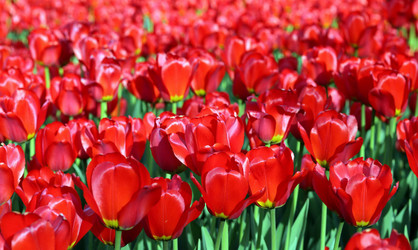 Similar image 21635956