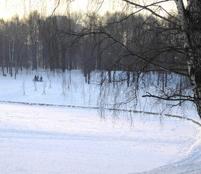 Similar image 21636071