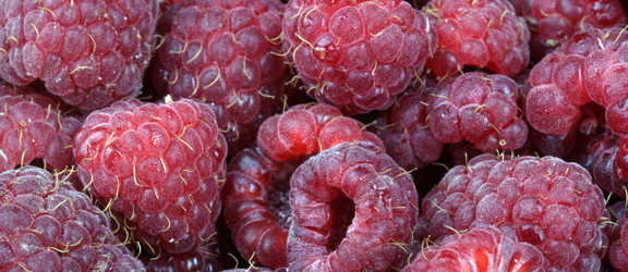 Similar image 21636076