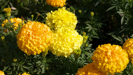 Similar image 21636089