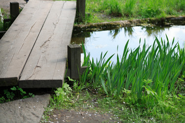 Similar image 21636111