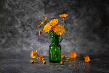 Similar image 21631804