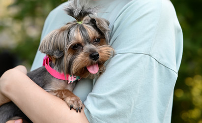 Similar image 21631805