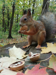 Similar image 21631629