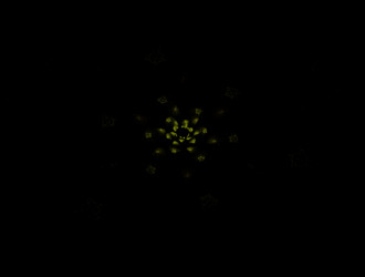 Similar image 21636775