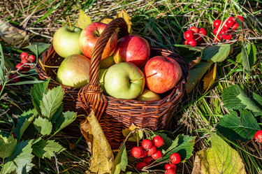 Similar image 21632156