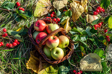 Similar image 21632157