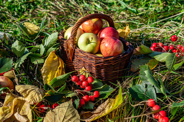 Similar image 21632159