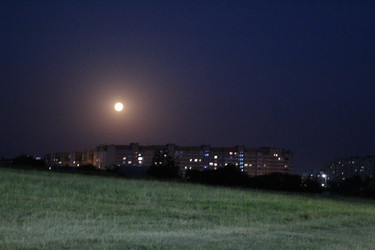 Similar image 21635305