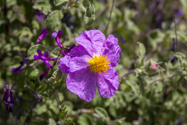 Similar image 21641761