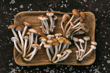 Similar image 21632162