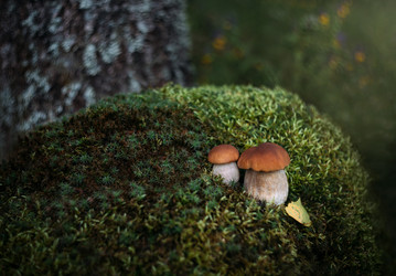 Similar image 21632167