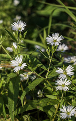 Similar image 21634269