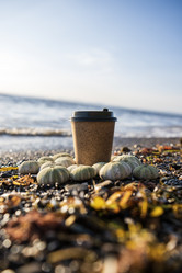 Similar image 21631810