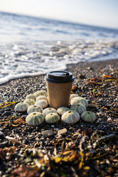 Similar image 21631811