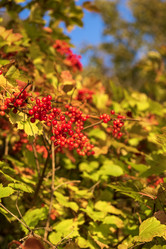 Similar image 21631815