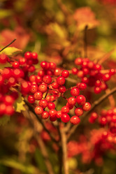 Similar image 21631817