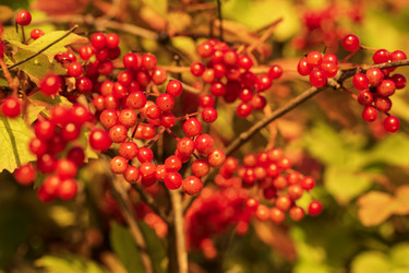 Similar image 21631818