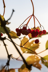 Similar image 21631819