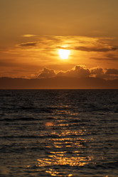 Similar image 21631821