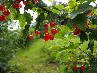 Similar image 21638542