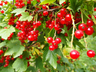 Similar image 21638544