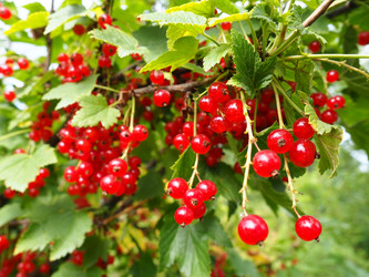 Similar image 21638546