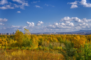 Similar image 21655440