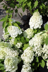 Similar image 21632174