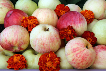 Similar image 21632175