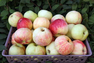 Similar image 21632176