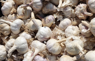 Similar image 21632177