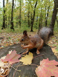 Similar image 21632179