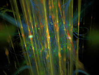 Similar image 21637005