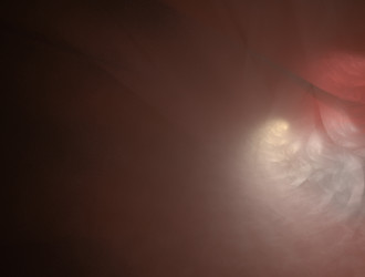 Similar image 21637018