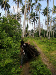 Similar image 21632592