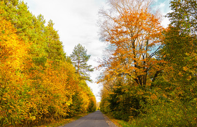 Similar image 21632778