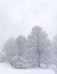 Similar image 21632787