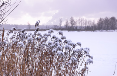 Similar image 21632788