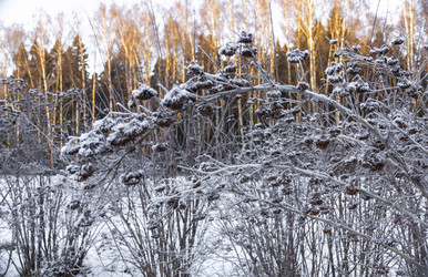 Similar image 21632790