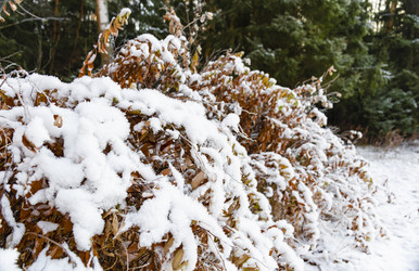 Similar image 21632791