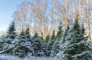 Similar image 21632792