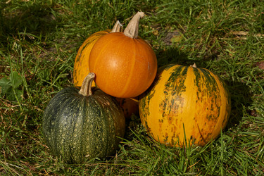 Similar image 21632940