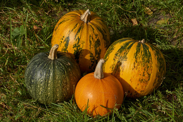 Similar image 21632596