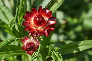 Similar image 21632941