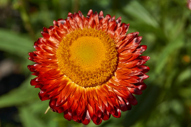 Similar image 21632942