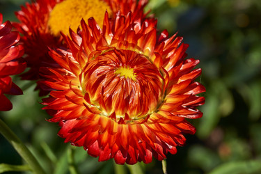 Similar image 21632943